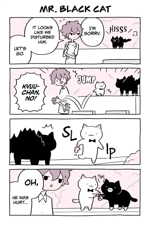 Wonder Cat Kyuu-chan Chapter 404 1